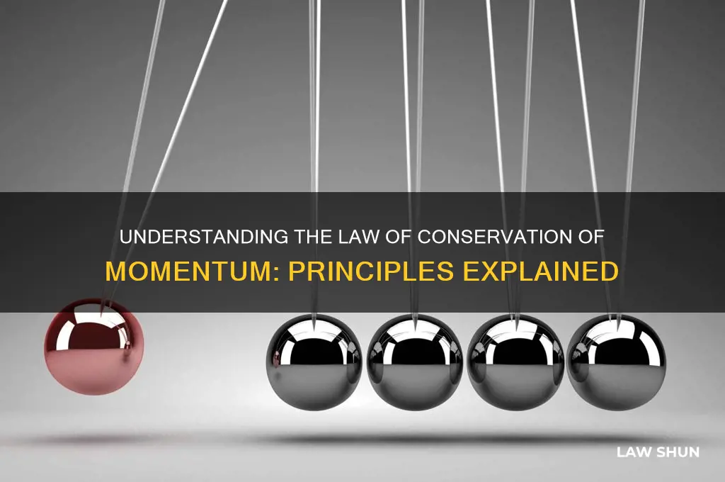 what is the law of the conservation of momentum