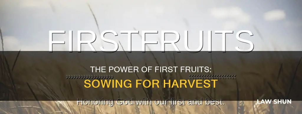 what is the law of the first fruits