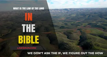 Biblical Law of the Land: Understanding Divine Principles and Human Governance