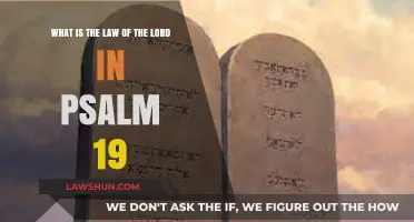 Psalm 19's Divine Law: Understanding God's Perfect Revelation