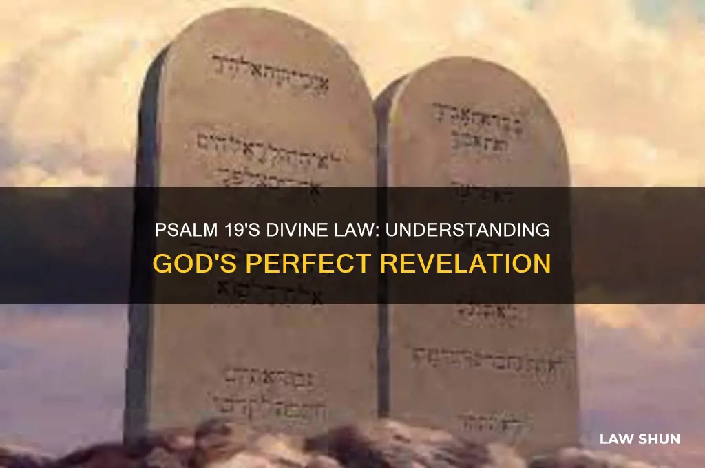 what is the law of the lord in psalm 19