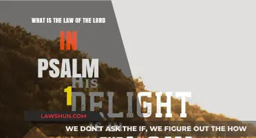 Understanding Psalm 1: The Law of the Lord and Blessedness