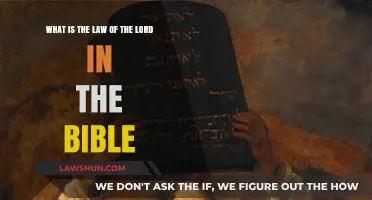 Understanding the Law of the Lord: Biblical Principles and Guidance