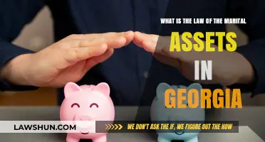Understanding Georgia's Marital Property Laws: Division of Assets Explained