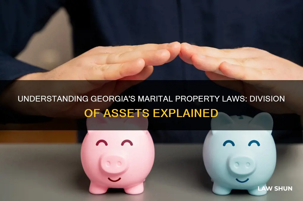 what is the law of the marital assets in georgia