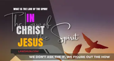 Understanding the Law of the Spirit in Christ Jesus