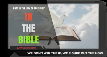 Understanding the Bible's Law of the Spirit: A Comprehensive Guide