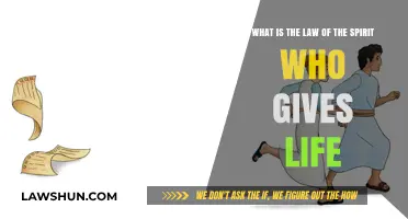 Understanding the Law of the Spirit Who Gives Eternal Life
