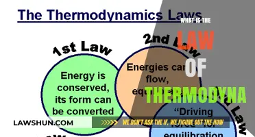 Exploring the Fundamental Principles: What is the Law of Thermodynamics?