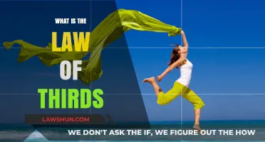 Mastering Composition: The Art and Science of the Law of Thirds
