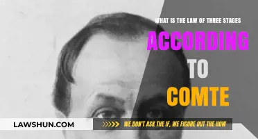 Understanding Comte's Law of Three Stages: A Comprehensive Overview