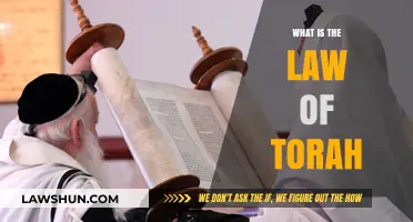 Exploring the Depths of Torah Law: A Comprehensive Guide
