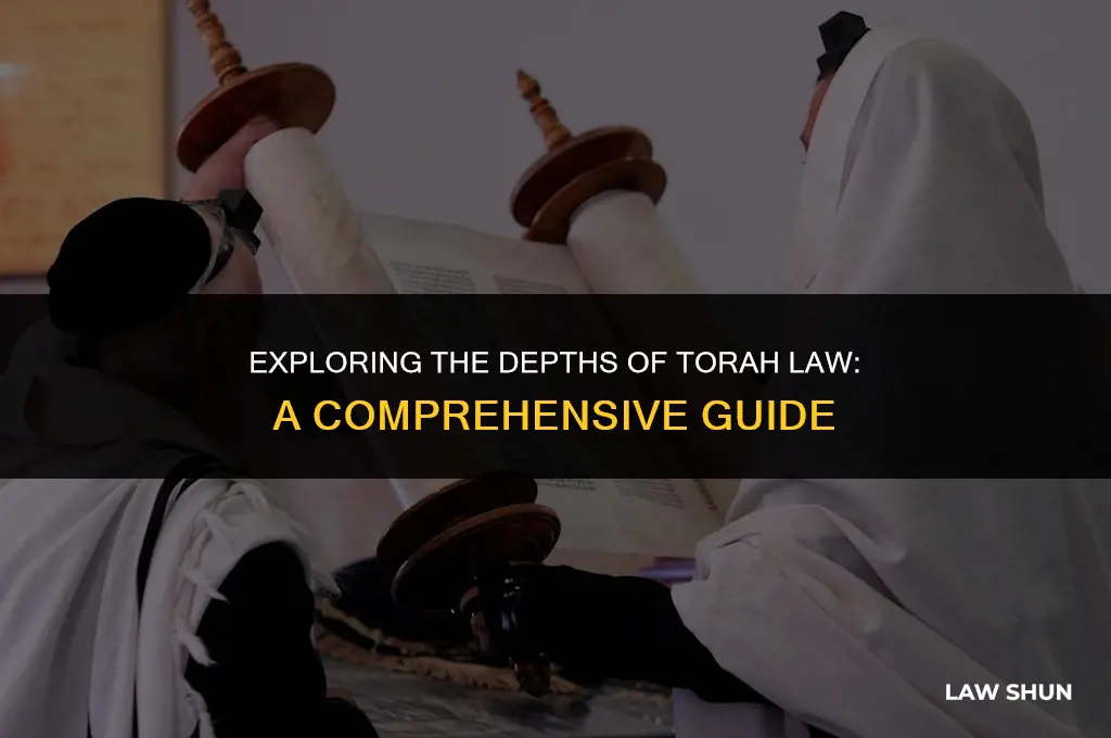 what is the law of torah
