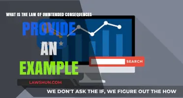 Unintended Consequences: Understanding the Law and Its Real-World Impact