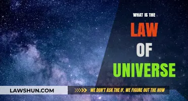 Exploring the Cosmic Code: What Governs the Universe?