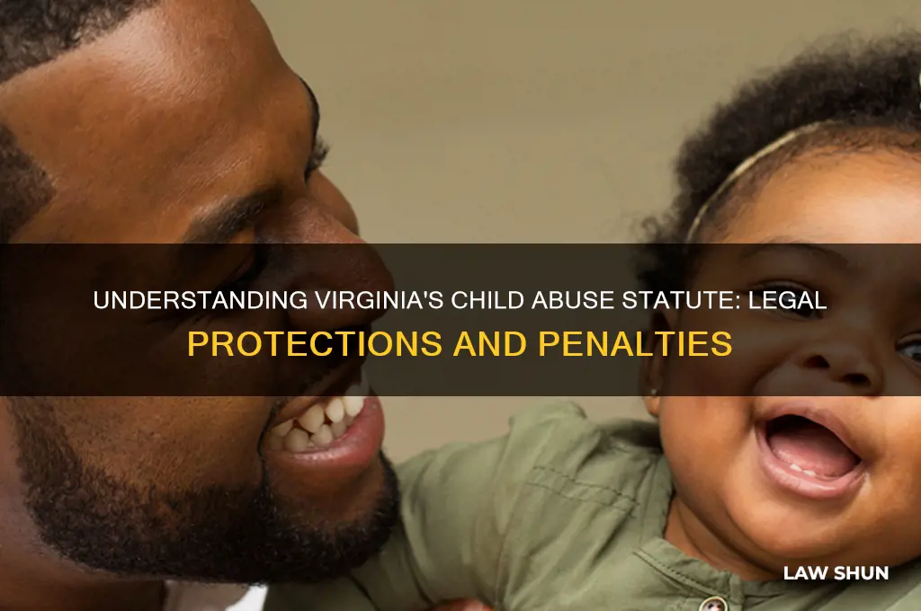 what is the law of virginia