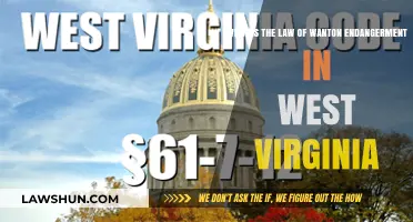 Understanding Wanton Endangerment Law in West Virginia: Key Insights