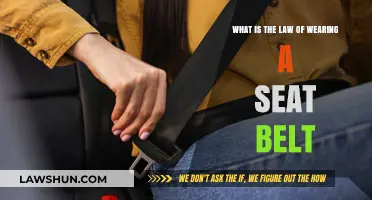 Understanding the Legal Requirement of Wearing a Seat Belt