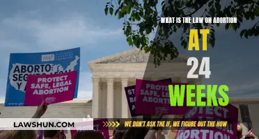 Abortion Law: Understanding the 24-Week Cutoff and Its Legalities