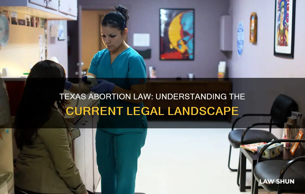 what is the law on abortion in texas