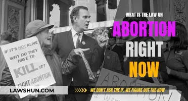 Abortion Law: Current Complexities and Confusion