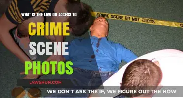 Understanding Legal Access to Crime Scene Photos: Rights and Restrictions