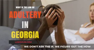 Georgia Adultery Laws: Understanding Legal Consequences and Penalties