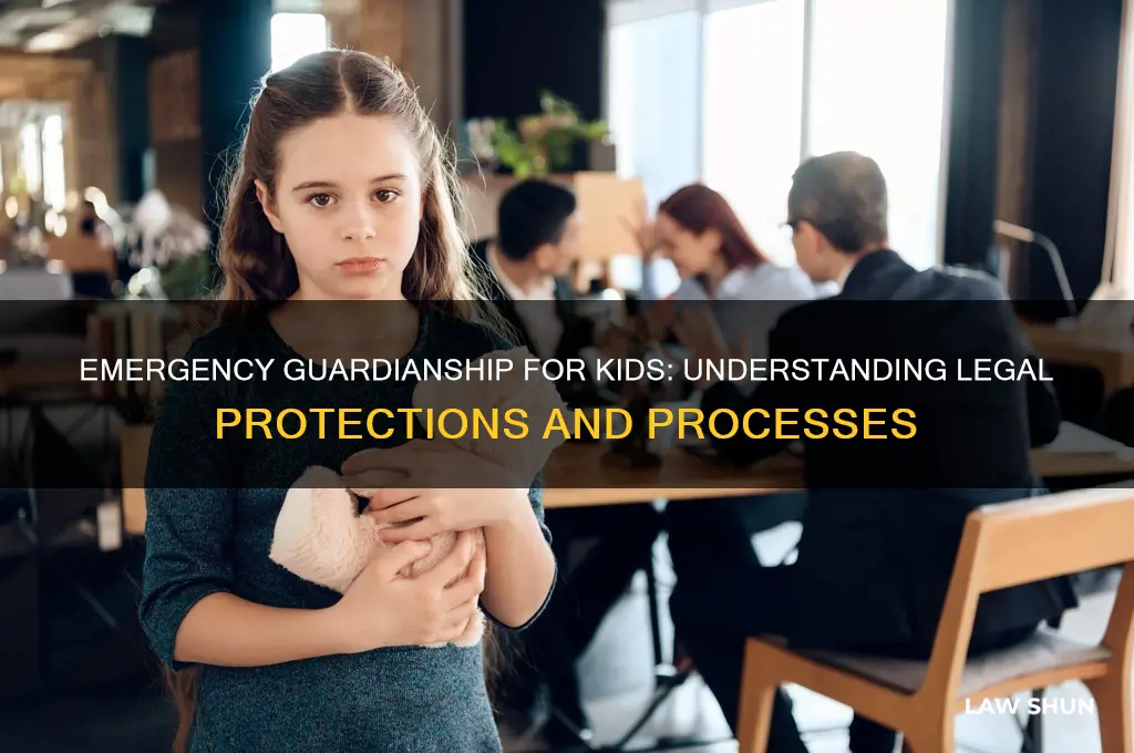 what is the law on an emergency gardianship for kids