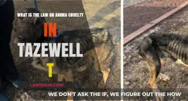 Understanding Tazewell County's Animal Cruelty Laws: Protections and Penalties