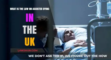 UK Assisted Dying Laws: Understanding Your Rights