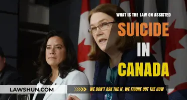 Canada's Assisted Suicide Law: What's the Verdict?