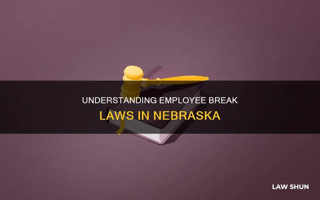 what is the law on breaks in ne