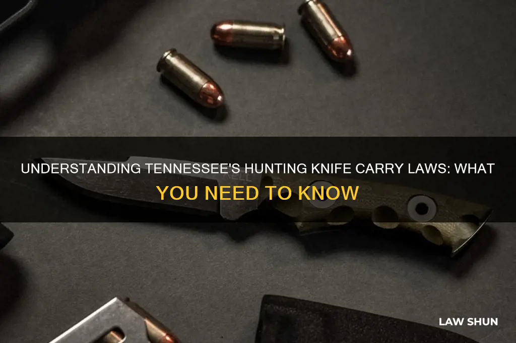what is the law on carrying hunting knives in tn