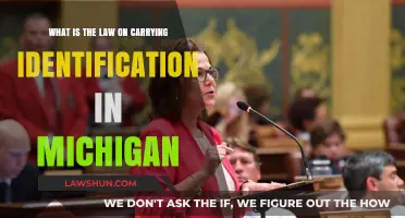 Michigan ID Laws: Understanding Identification Requirements and Regulations