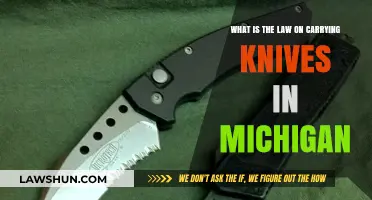 Understanding Michigan Knife Laws: What’s Legal to Carry?