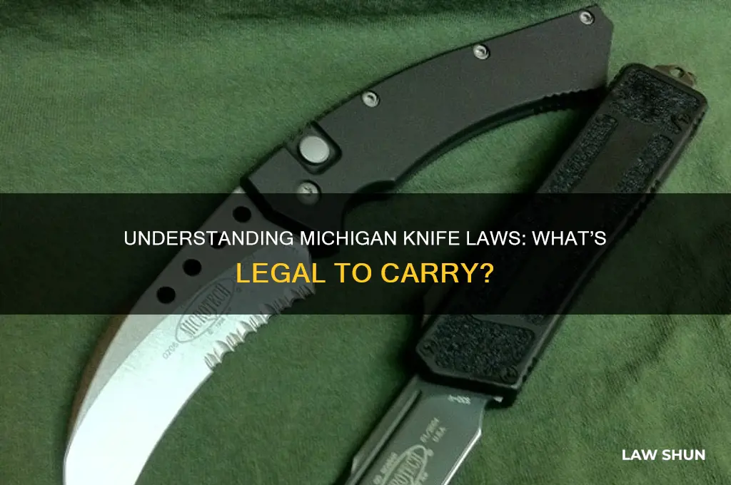 what is the law on carrying knives in michigan