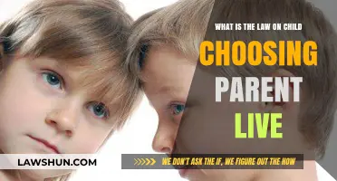 Child's Choice in Custody: Legal Rights and Parental Preferences Explained