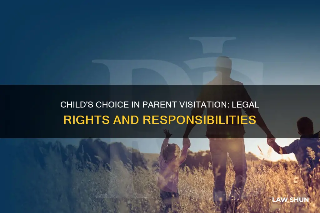 what is the law on child choosing to visit parent