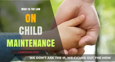 Understanding Child Maintenance Law: Your Rights and Responsibilities Explained