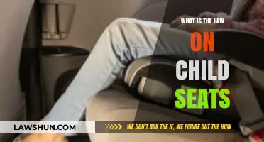 Understanding Child Seat Laws: Safety Requirements and Legal Obligations