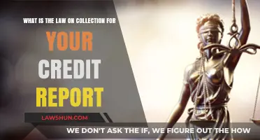 Understanding Your Rights: The Law on Credit Report Collections Explained