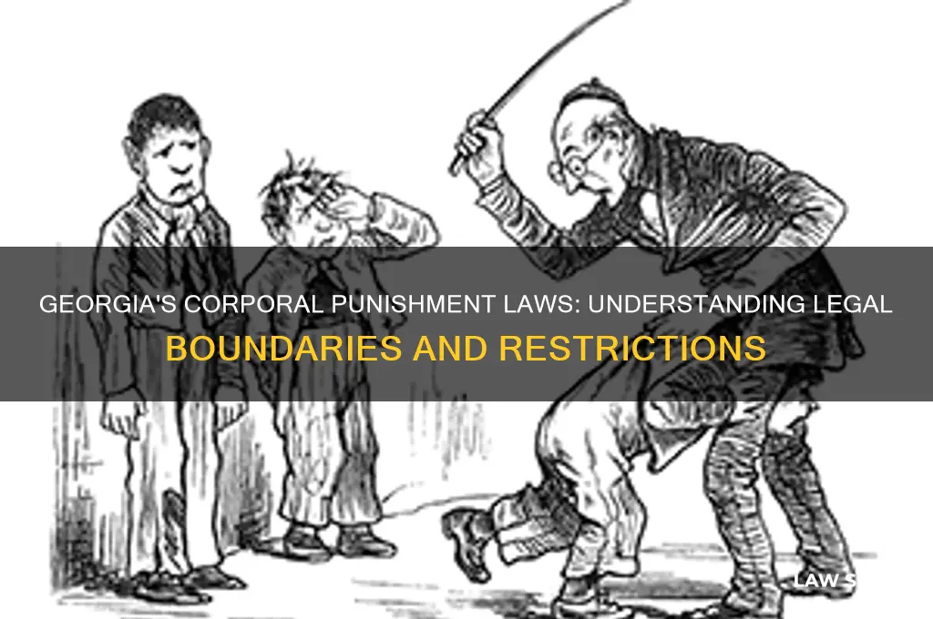 what is the law on corporal punishment in georgia