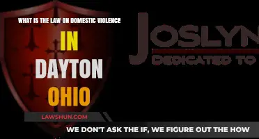 Understanding Dayton, Ohio's Domestic Violence Laws: Rights, Protections, and Resources