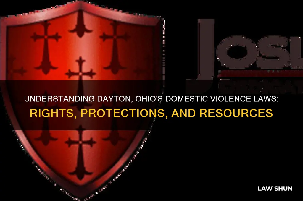 what is the law on domestic violence in dayton ohio