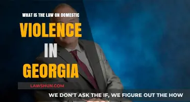 Georgia's Domestic Violence Laws: Understanding Legal Protections and Penalties