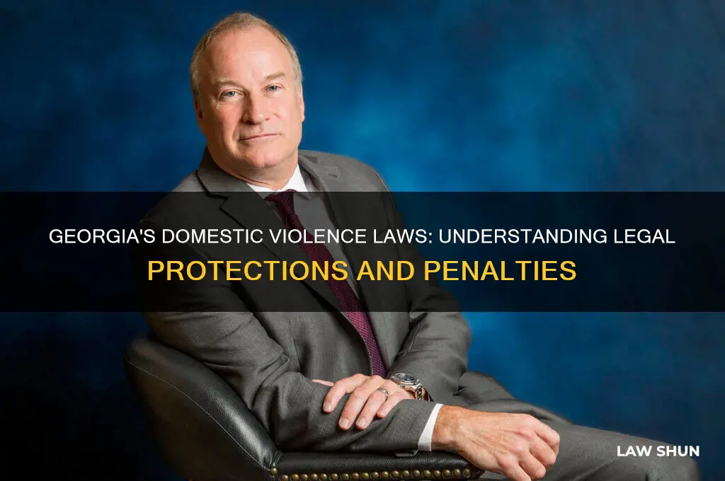 what is the law on domestic violence in georgia