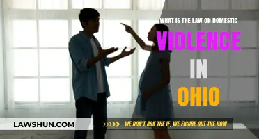Ohio's Domestic Violence Laws: Understanding Legal Protections and Penalties
