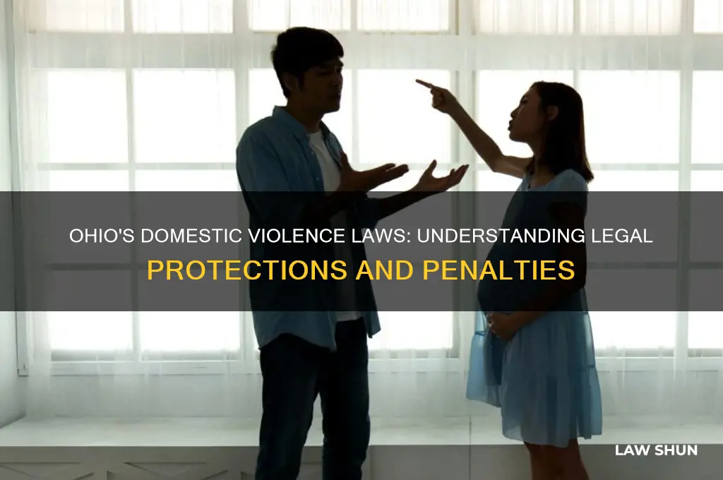 what is the law on domestic violence in ohio
