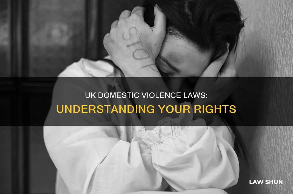 what is the law on domestic violence in the uk