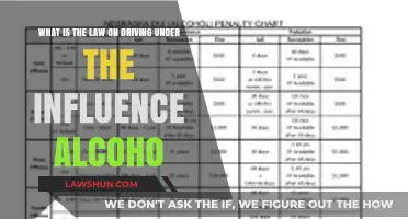 Driving Under the Influence: Understanding DUI Laws and Penalties